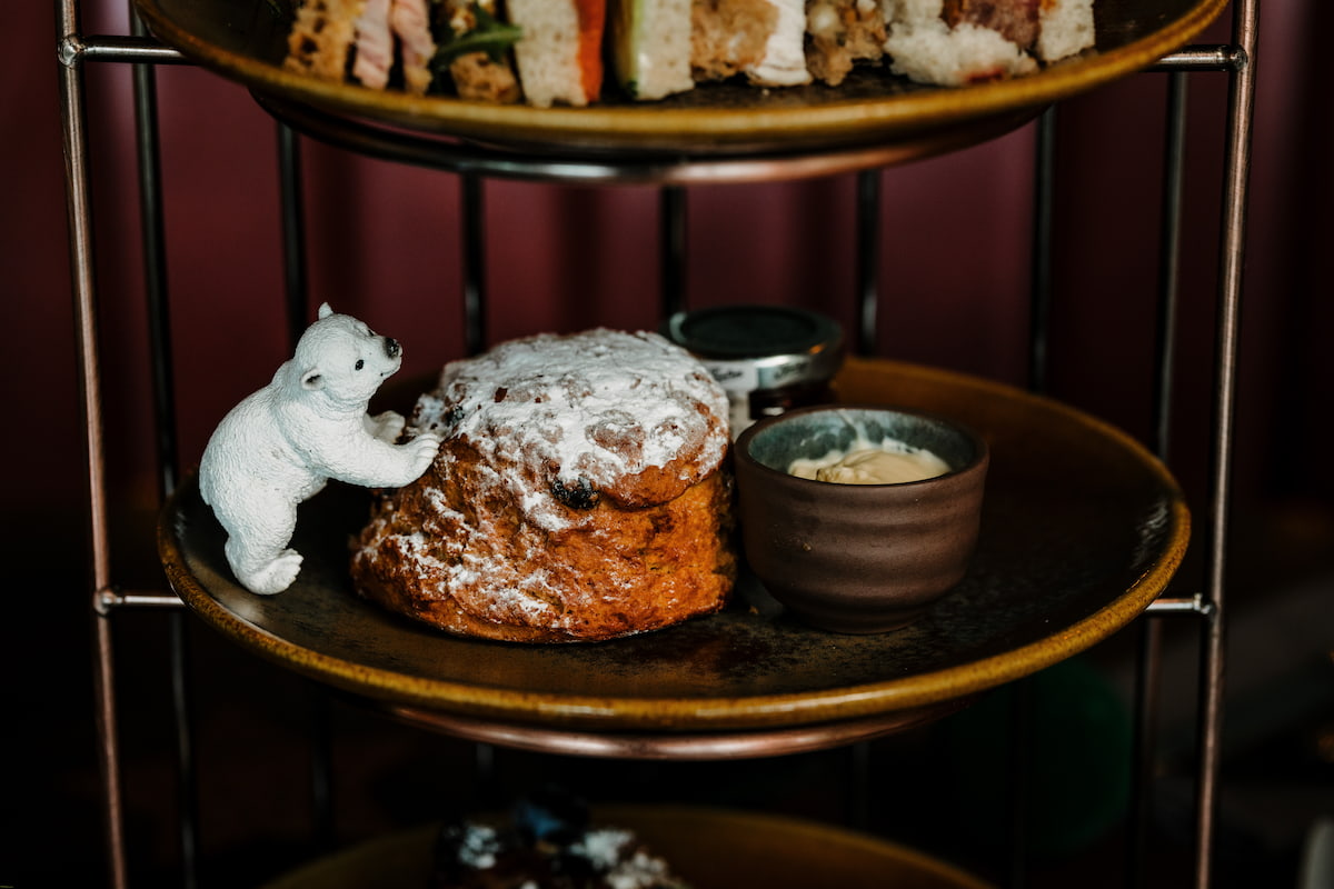 festive-afternoon-tea-peacock-owler-bar-scone-polarbear